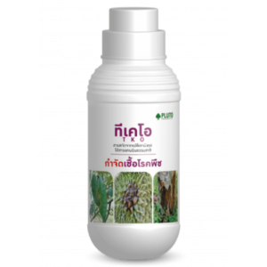 TKO 1000 ซีซี