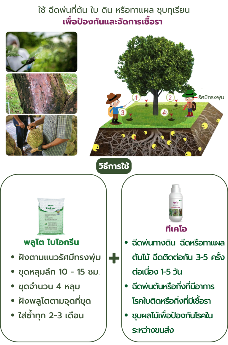 วิธีการใช้พลูโต ไบโอกรีนคู่กับทีเคโอ