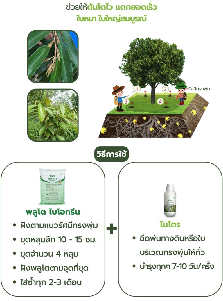 วิธีการใช้พลูโต ไบโอกรีนคู่กับไนโตร