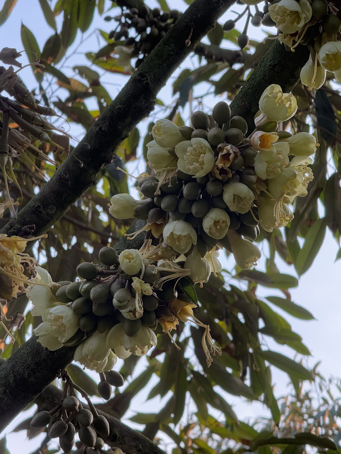 487222522_645856588186621_2694527967252434445_n