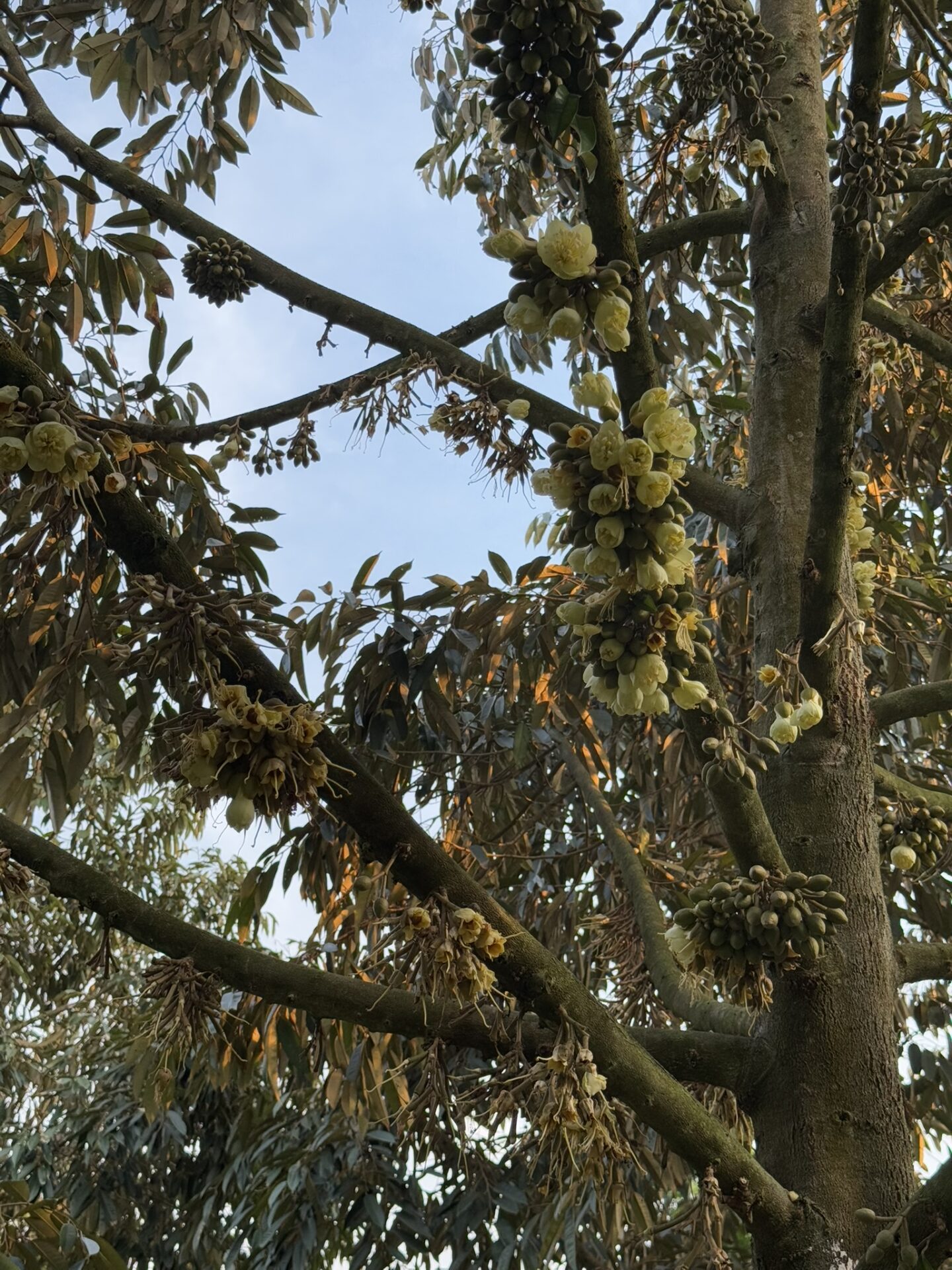 487457185_645857004853246_8236941327123119247_n