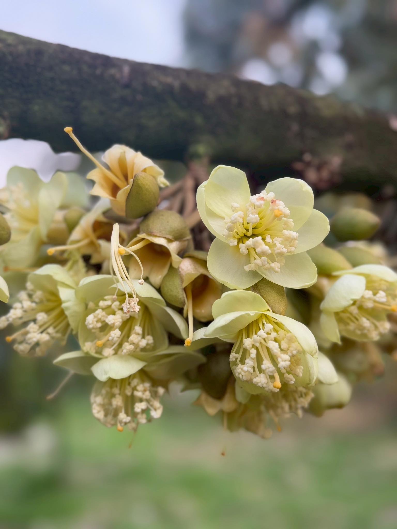 572254297_816816964423915_6965074846351367829_n