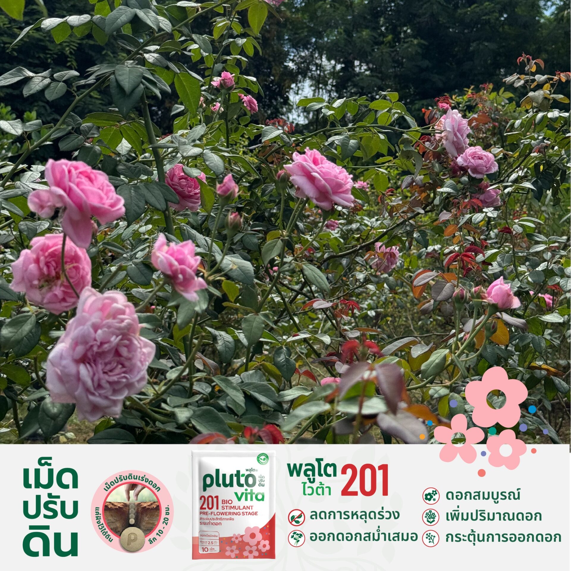 572920819_816230897815855_6242693735850864959_n