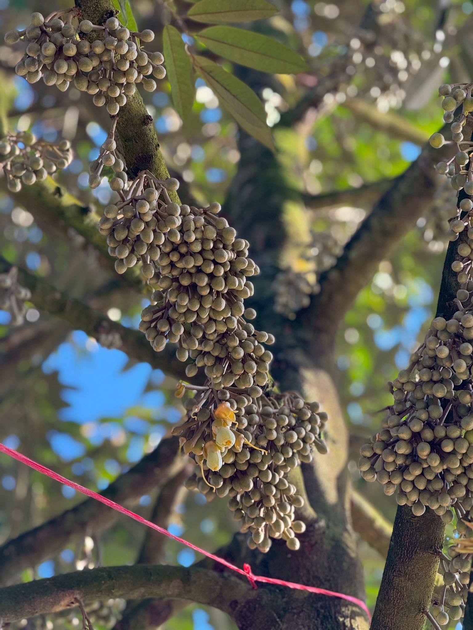 573536078_816816947757250_5697184848822643488_n