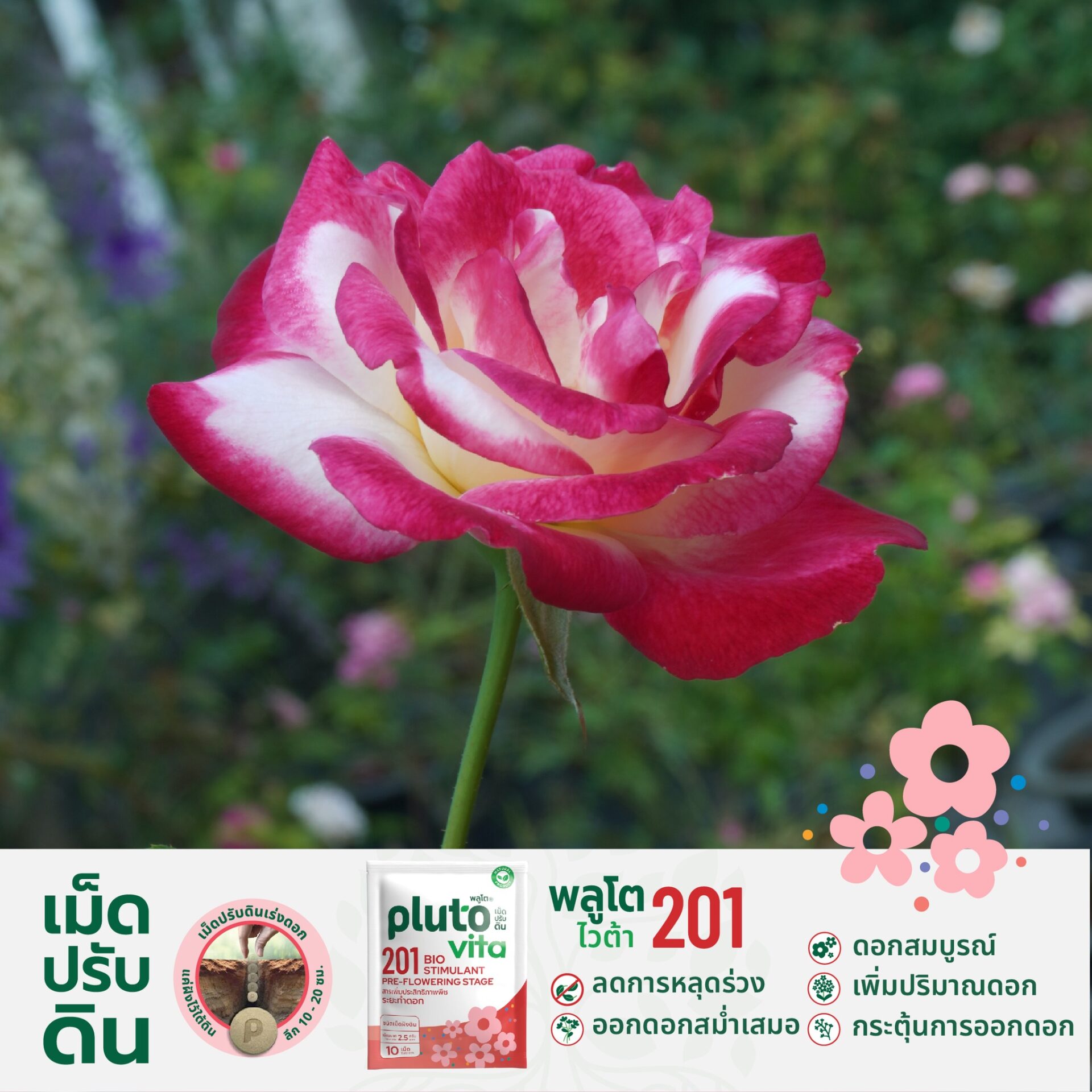 573857165_816230877815857_3781668068800107051_n