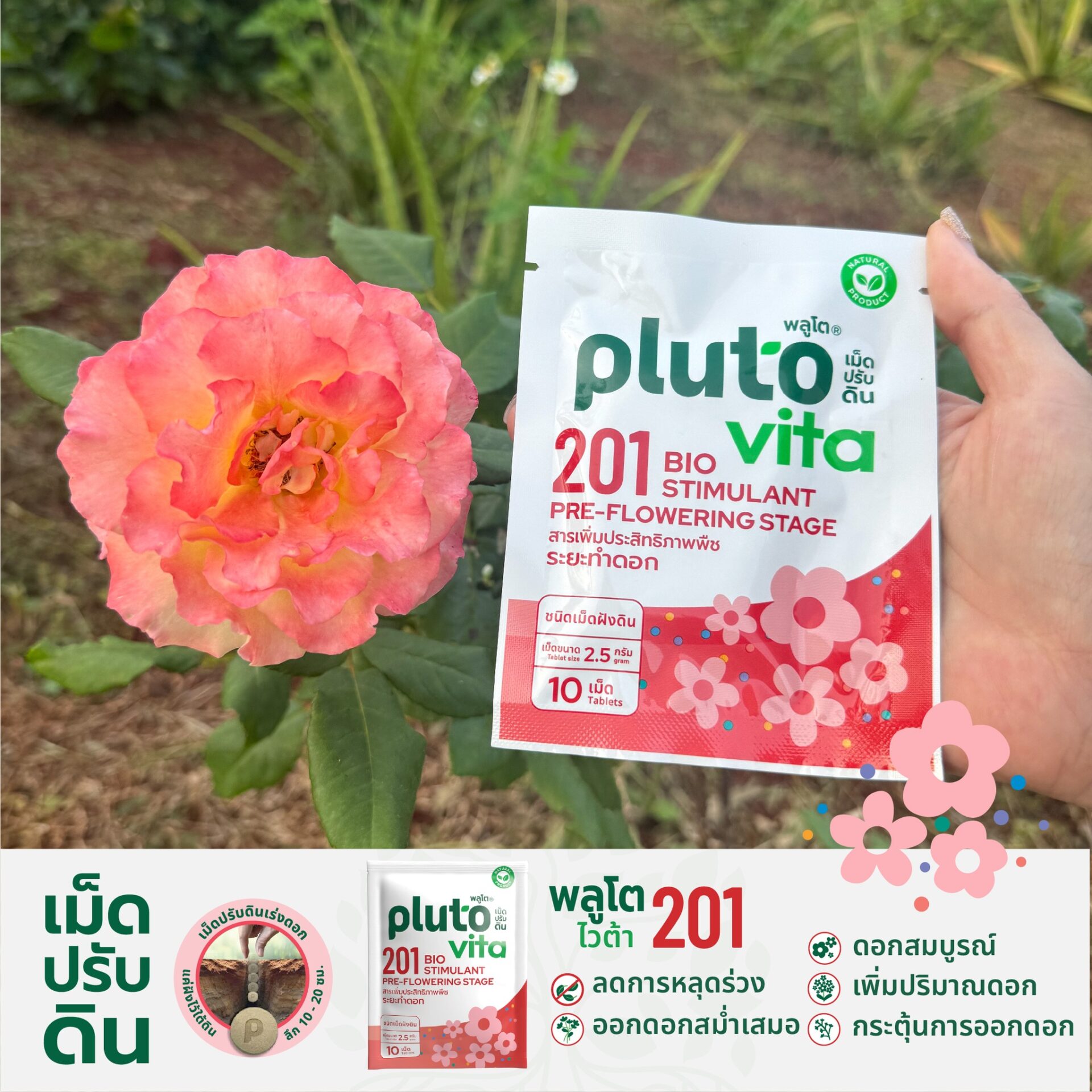 573876943_816230934482518_6945346002478905837_n